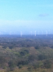 Wind turbines in Portugal?