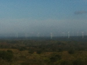 Wind Turbines in Spain?